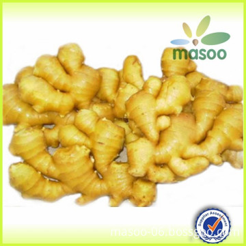 2014 crop chinese fresh ginger, bulk ginger